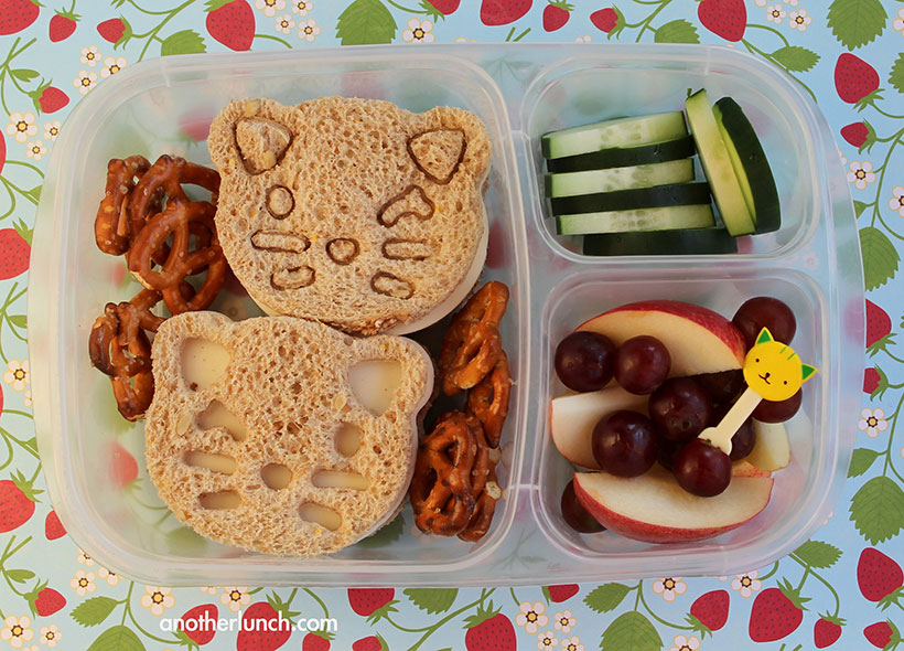 Example of a teeth healthy lunch box