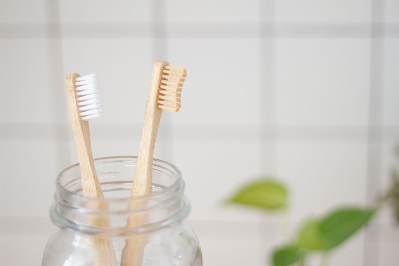 Why Our Blackburn Dental Clinic is an Environment Friendly Clinic?