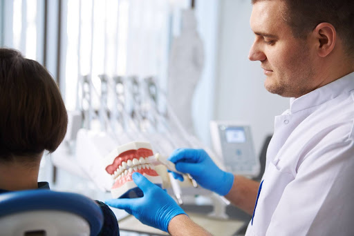 dentist showing mouth model to patient