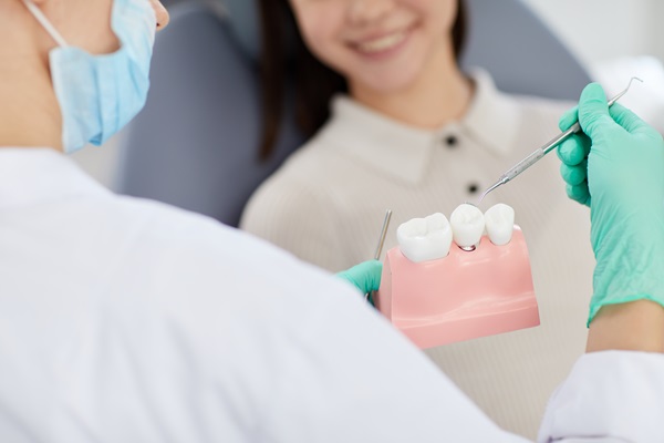 Dentist Pointing at Tooth Model Closeup