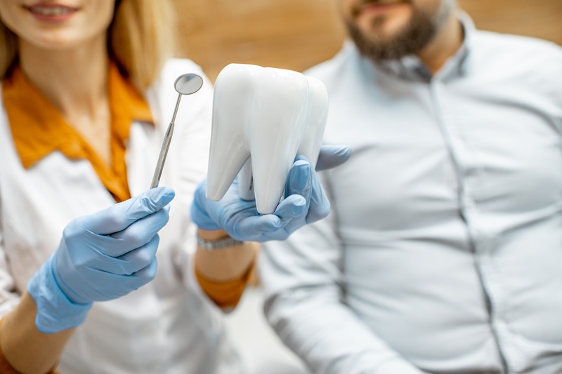 Dentist with patient during a medical consultation, doctor holding tooth model and dental mirror, close-up view