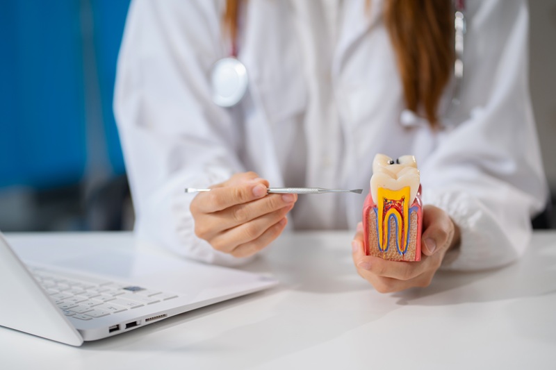 dentists writes reports of working with root canal tooth models and analyzing dental treatments.