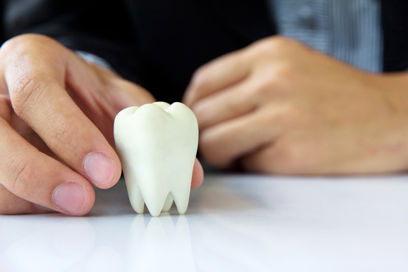 A dentist holding a model dental crown